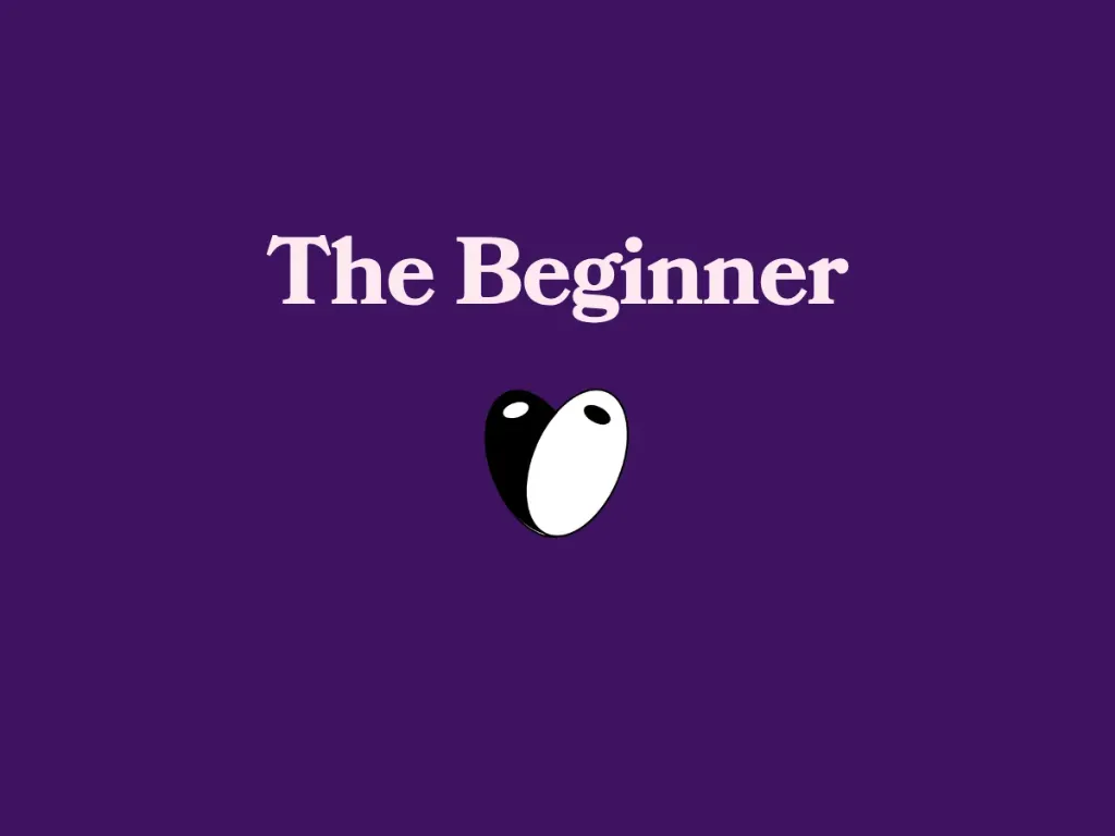 The Beginner (1).webp